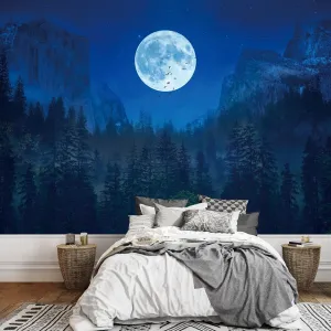 Birds Moon Custom Mural, Alpine Forest Peel and Stick Wallpaper Natural Scenery 3D Poster Photo Wallpaper Bedroom Living Room Background Wall Mural,158"Wx110"H
