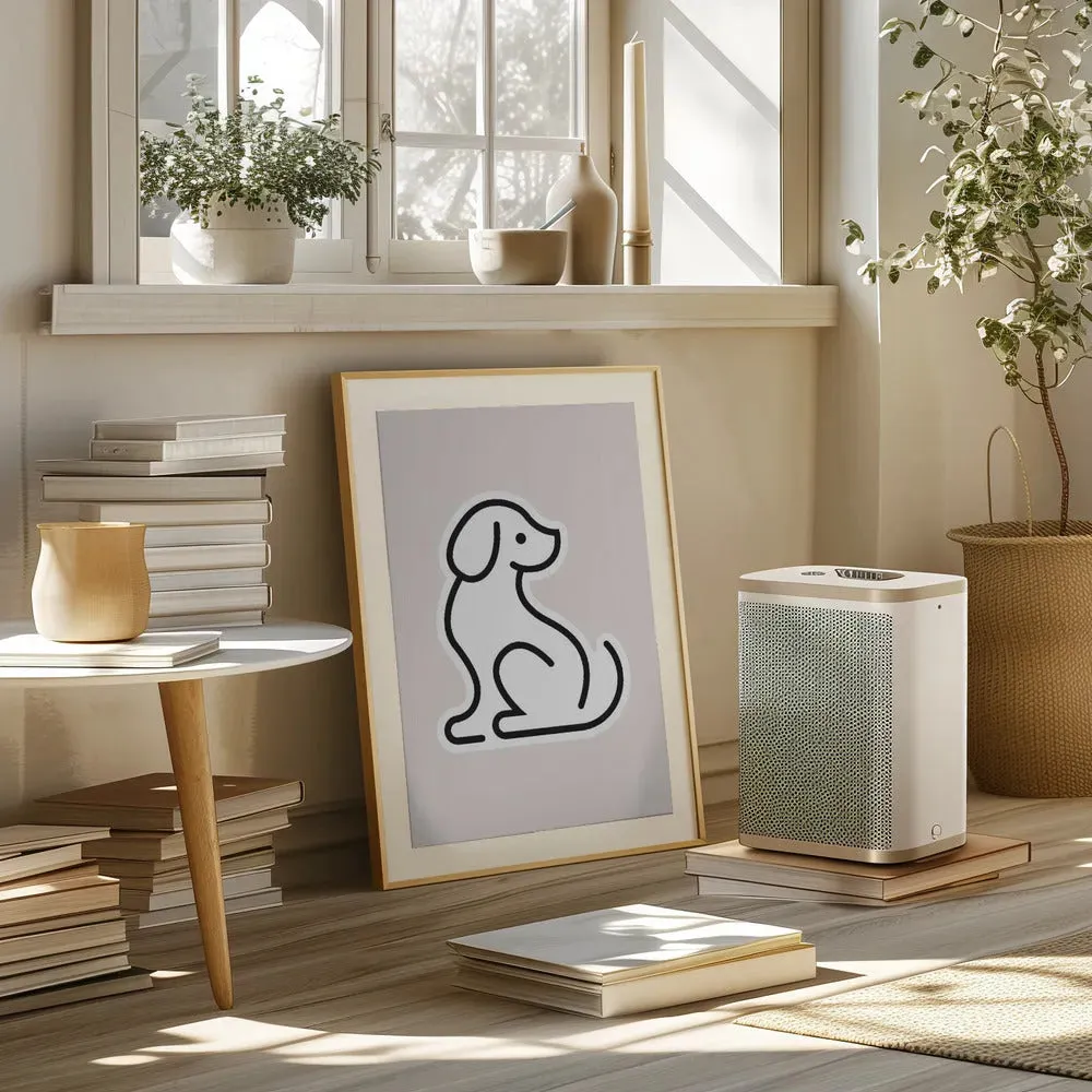 Cute Grey Dog