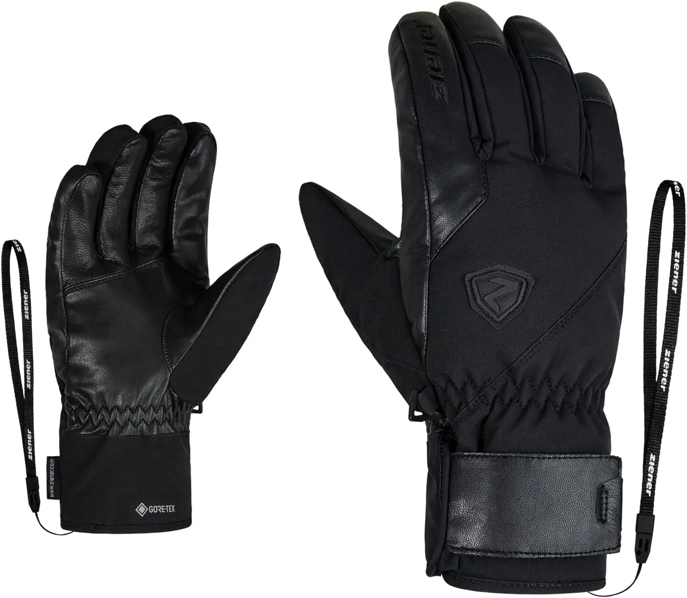 Genio GTX Pr Ski Gloves, Winter Sports, Waterproof, Breathable, Warm, Gore-tex, Primaloft