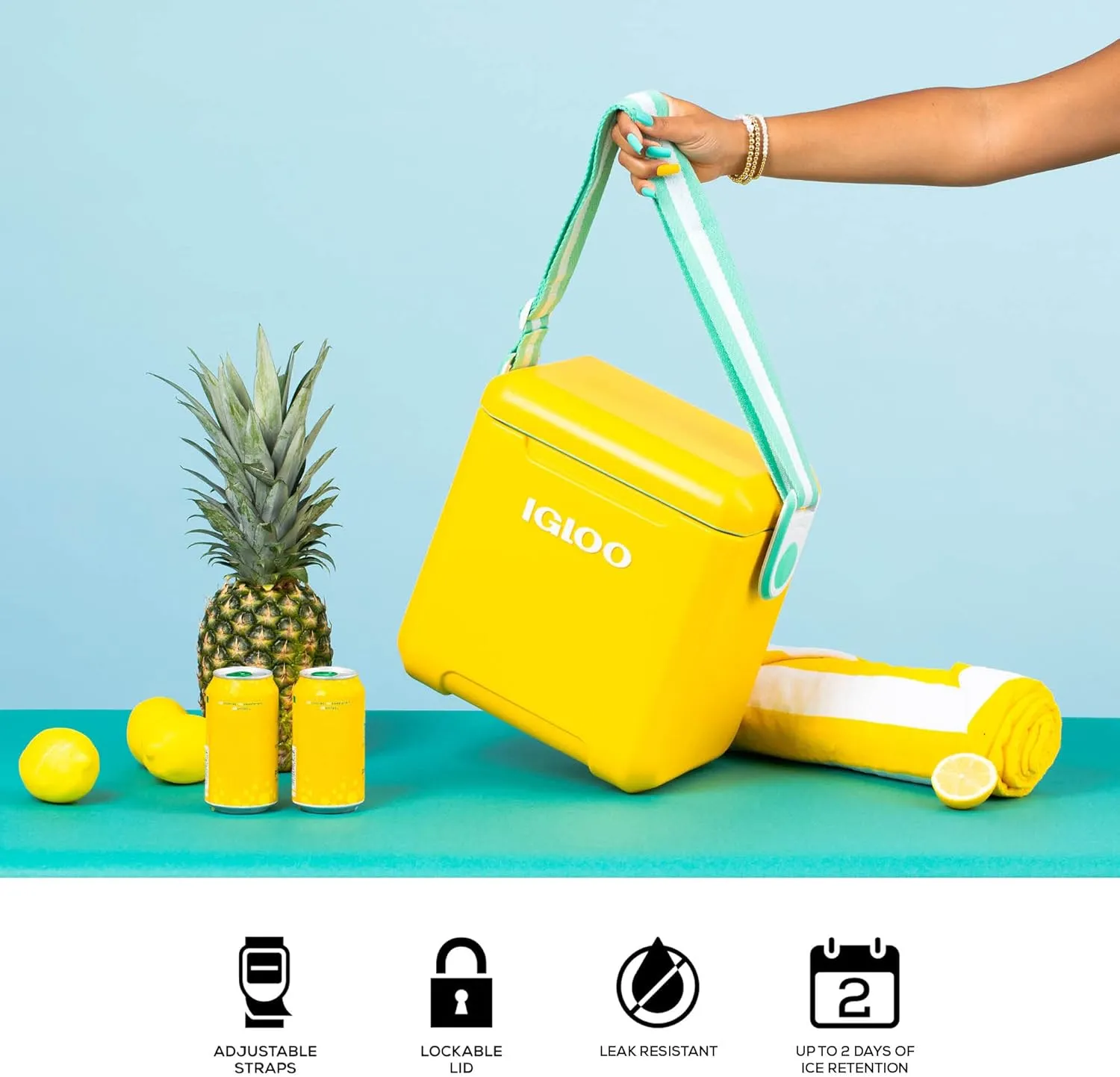 Igloo 11 Qt Tag Along Too Strapped Picnic Style Cooler